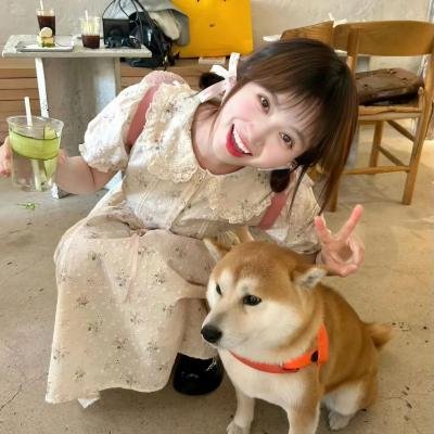 非诚勿扰